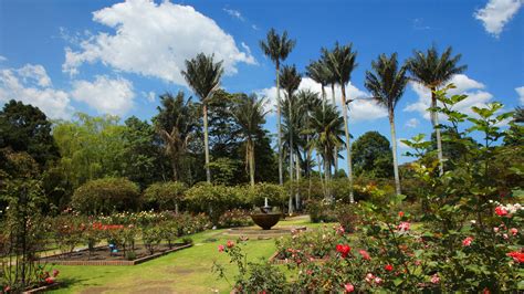 Todo sobre el hermoso Jardín Botánico de Bogotá | Hoteles B3