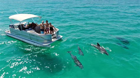 Indian River Lagoon Boat Tours - Dolphin Family Tours