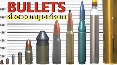 Bullets and Shells - Size Comparison | From the smallest bullet to the ...