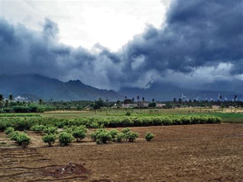 India's monsoon not bringing enough rain | Earth | EarthSky