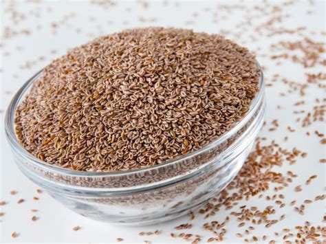 About Psyllium Indianwheat Plants: Information On Psyllium Plant Uses ...