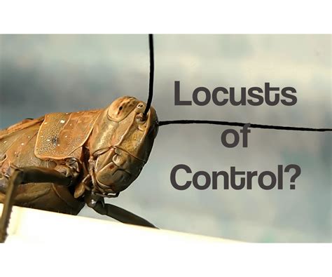 Locusts Of Control