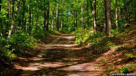 Chattahoochee River National Recreation Area | PALISADES UNIT HIKING ...