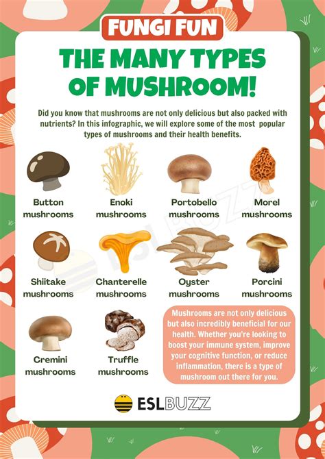 Types of Mushrooms: Different Mushroom Types with their Characteristics ...