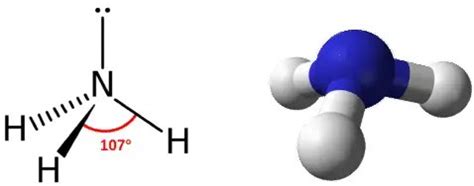 NH3 Molecular Geometry, Hybridization, Bond Angle and Molecular Shape