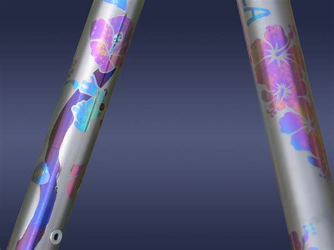 Hawaii Anodized Bike - Titanium Arts