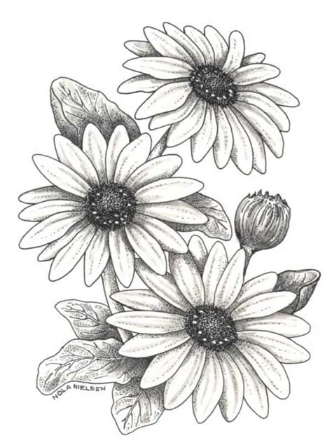 Flower Drawing Easy Flower Drawings Flower Sketches | Images and Photos ...