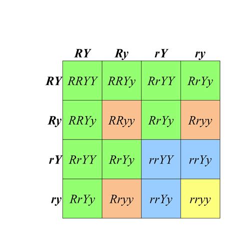 8.2 Recall – Mendelian Dihybrid Crosses – Introduction to Genetics