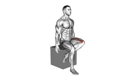 Hip External Rotation Exercise: Video Guide & Tips