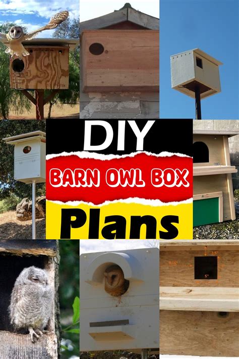 13 Free DIY Barn Owl Box Plans You Can Make Easily - DIYnCrafty