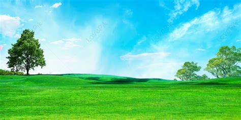 Grass Sky Background Download Free | Banner Background Image on Lovepik ...