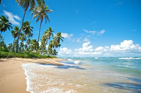 Best beaches in Brazil - Lonely Planet