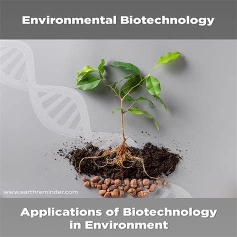 Applications of Biotechnology in Environment | Earth Reminder