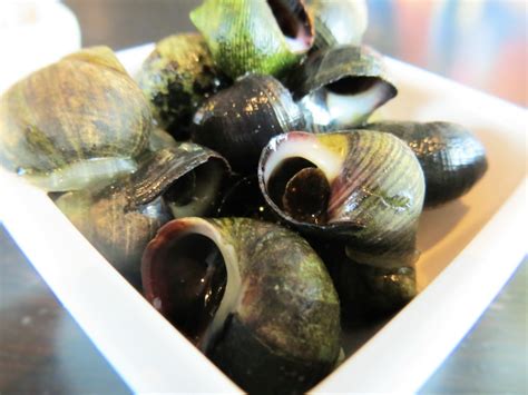 Easy Winkles Recipe Ideas for True Seafood Fans