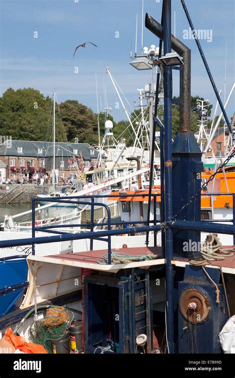 Fishing boats in Padstow harbour Stock Photo - Alamy