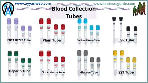 Blood Bank Lab Tests at Jacqueline Glines blog