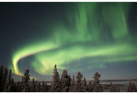 Fairbanks Aurora Viewing Lodge Tour | Alaska Shore Excursions