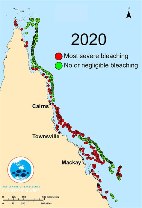 The Great Barrier Reef Suffers Another Mass Bleaching Event