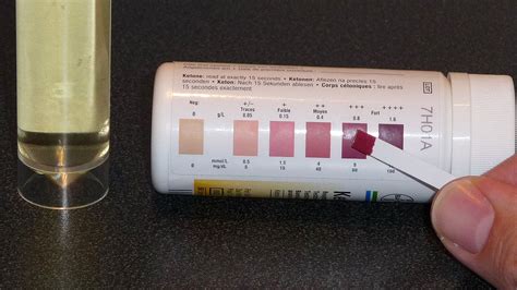 What Happens When the Ketosis Strips Turn Purple Then White Again ...