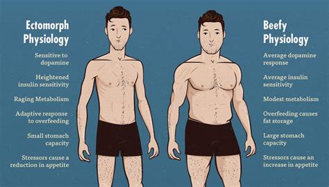 The Virgin Ectomorph vs The CHAD BEEF MASTER : r/virginvschad