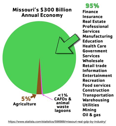 Missouri Guardrails Process