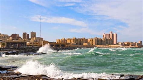 Alexandria 2021: Top 10 Tours & Activities (with Photos) - Things to Do ...