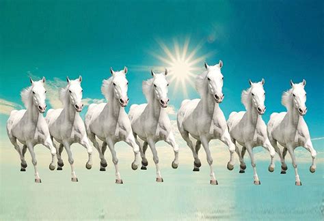 7 Horses Wallpapers - Top Free 7 Horses Backgrounds - WallpaperAccess