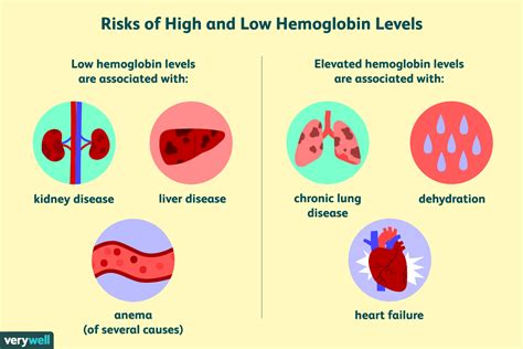 Hemoglobin Electrophoresis: Uses, Procedure, Results