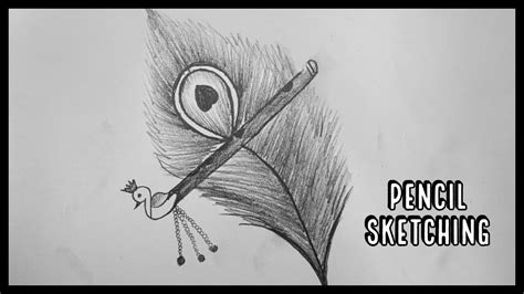 Peacock Feather Pencil Sketch