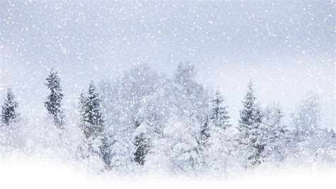 Snowfall Winter Precipitation Wallpaper