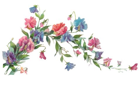 Flower Painting Clip art - Floral Transparent PNG png download - 900* ...