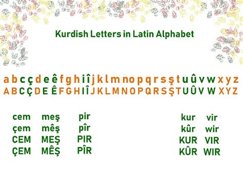 Kurdish Letters In Latin Alphabet Stock Illustration - Download Image ...