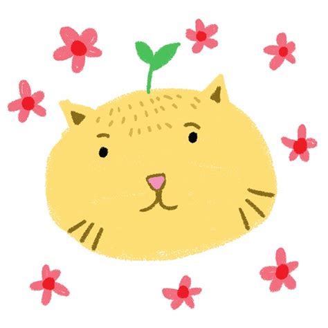 Animated Cat Heads Emoji Sticker Pack for iMessage by APPBUBBLy