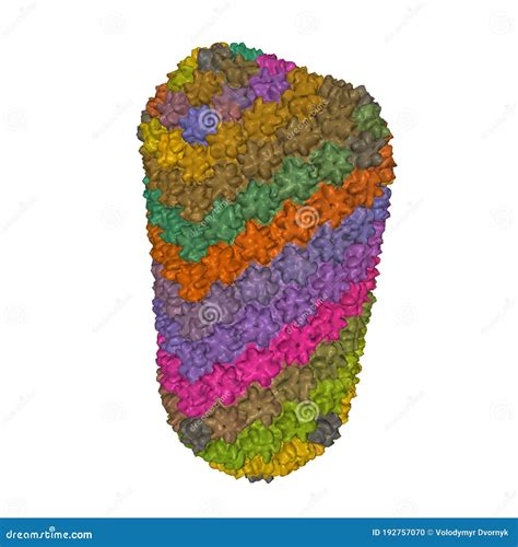 Structure of the HIV-1 Capsid, 3D Surface Model Stock Illustration ...