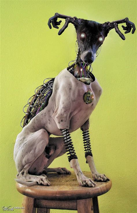 39.photo-manipulation Arte Robot, Robot Art, Robot Animal, Sculpture ...