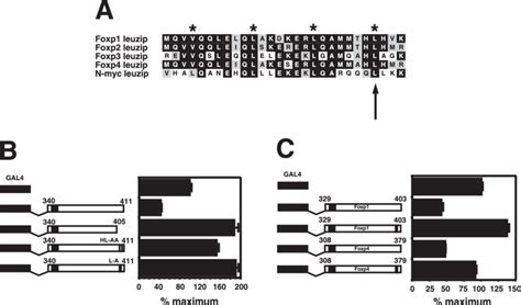 The leucine zipper motif is important for repression by subdomain 1 ...