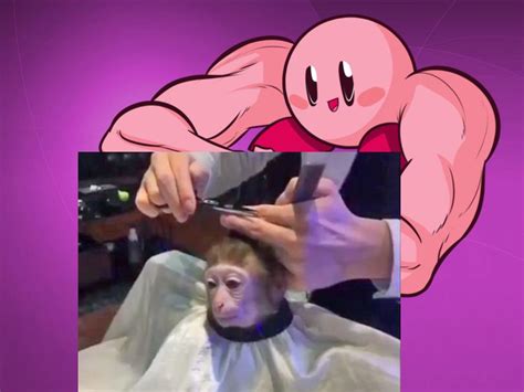 Kirby Giving a Monkey a Hair Cut | Monkey Haircut | Know Your Meme