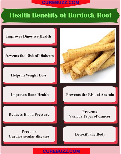 burdock root benefits - Google Search | Herbalism, Benefit, Burdock ...