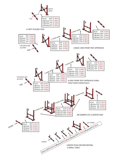 A Beginners Guide to Gridwork | Horse jumping, Horse jumping exercises ...