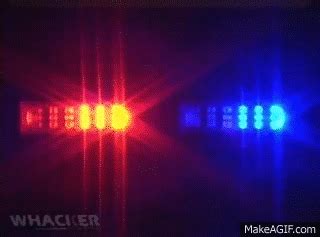 Police GIFs - Find & Share on GIPHY