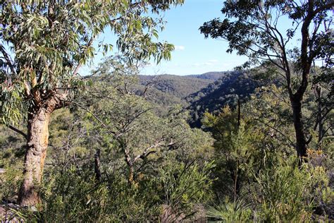 Musgrove Realty - ‘Beautiful Bushland Retreat with Magnificent Views’