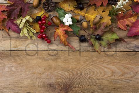 Thanksgiving Background with Fall Leaves Graphic by TasiPas · Creative ...