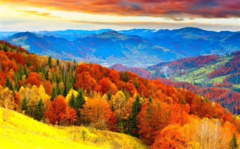 Fall Season Wallpapers - Top Free Fall Season Backgrounds - WallpaperAccess