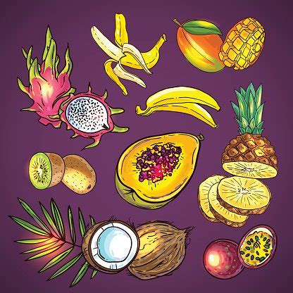 Vector Tropical Fruit Stock Clipart | Royalty-Free | FreeImages