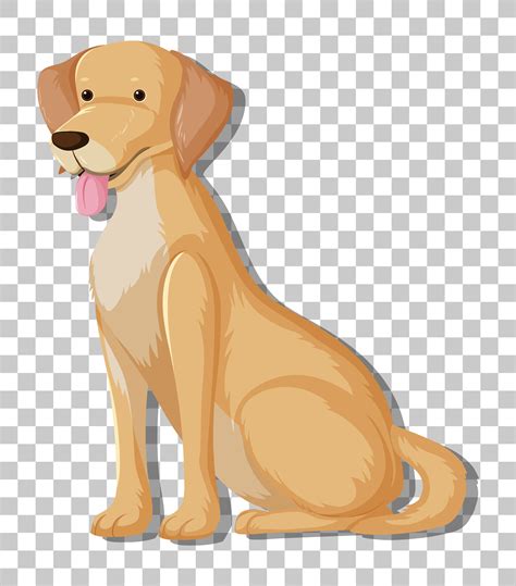 Yellow Labrador Retriever in sitting position cartoon character ...