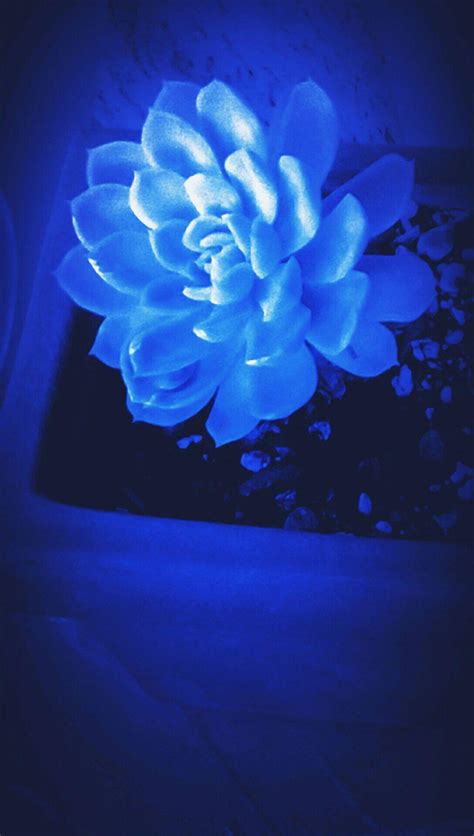 10 Perfect wallpaper aesthetic dark blue You Can Use It Without A Penny ...