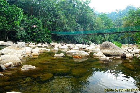 DSC_5315. Kuala Woh, Tapah, Perak, Malaysia. | Malaysia, Tapah, Outdoor