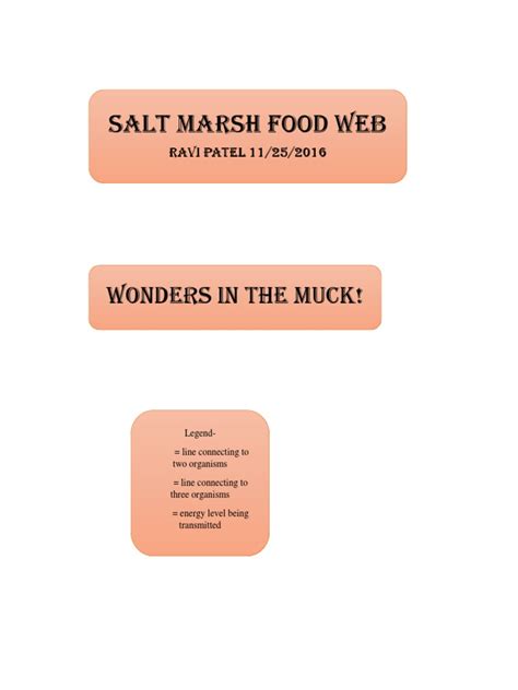 Salt Marsh Food Web: Wonders in The Muck! | PDF