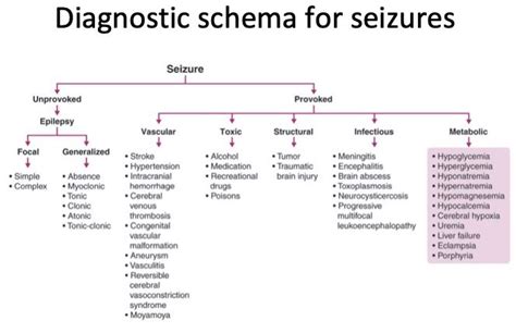 Epilepsy Diagnosis