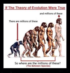 Refutation of Creationist Memes - NeuroLogica Blog